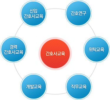 간호사교육(신입 간호사교육, 경력 간호사교육, 개발교육, 직무교육, 위탁교육, 간호연구)